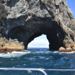 Neuseeland