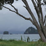 Neuseeland 2014: Cathedral Cove-Strand